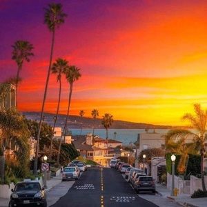 Meet your Posher, Max